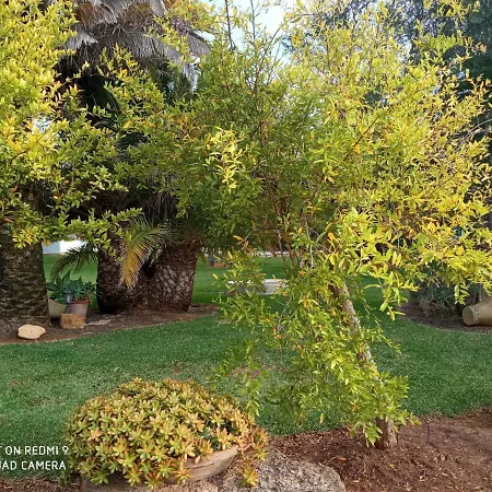 El Olivar De Roche Viejo Conil De La Frontera