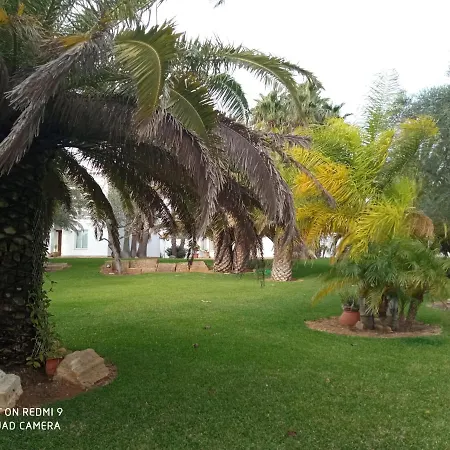 El Olivar De Roche Viejo *