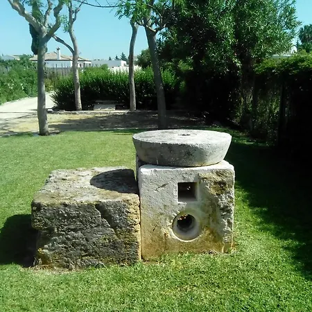 El Olivar De Roche Viejo *