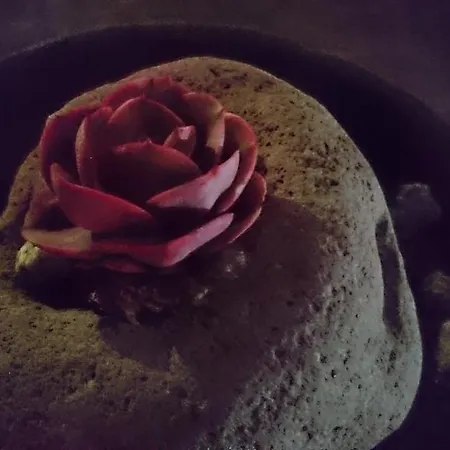 Сasa de vacaciones El Olivar De Roche Viejo