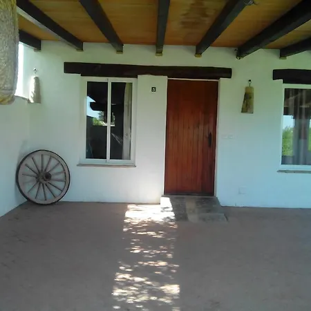 El Olivar De Roche Viejo *