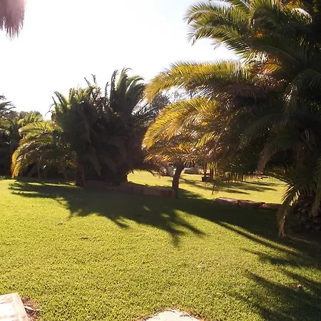 El Olivar De Roche Viejo