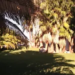 El Olivar De Roche Viejo