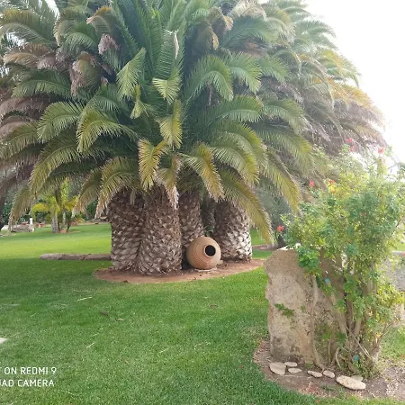 El Olivar De Roche Viejo Conil De La Frontera