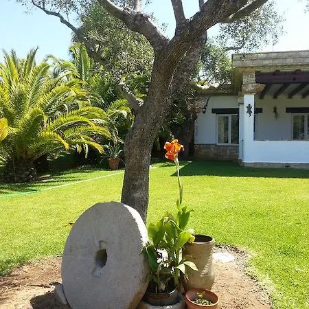 El Olivar De Roche Viejo *