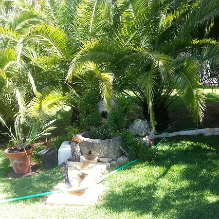 Tatil Evi El Olivar De Roche Viejo Conil De La Frontera