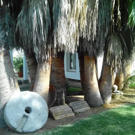 Ferienhaus El Olivar De Roche Viejo *