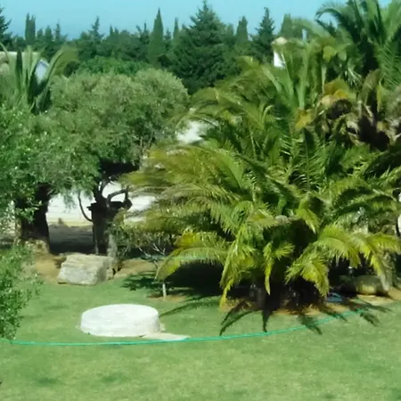 El Olivar De Roche Viejo * Conil De La Frontera