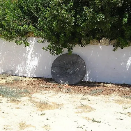 El Olivar De Roche Viejo