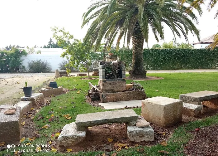 Tatil Evi El Olivar De Roche Viejo Conil De La Frontera