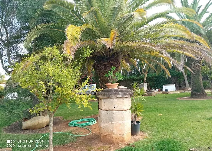 Hébergement de vacances El Olivar De Roche Viejo Conil De La Frontera