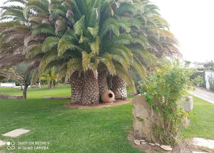 El Olivar De Roche Viejo Conil De La Frontera