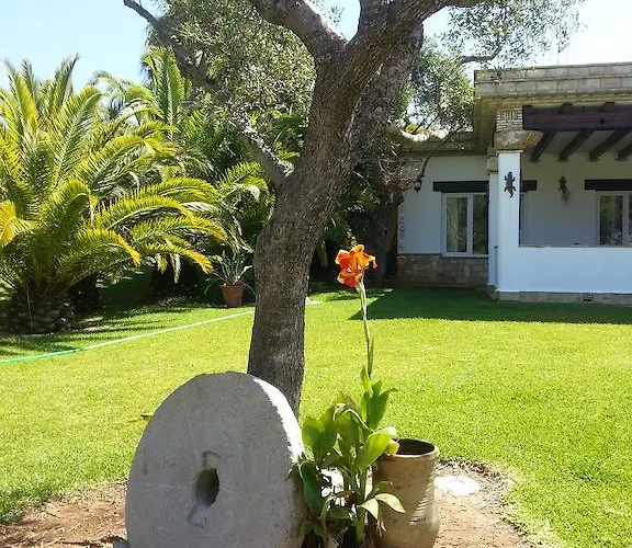 El Olivar De Roche Viejo *