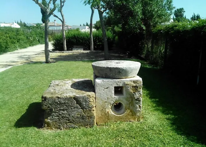 El Olivar De Roche Viejo *