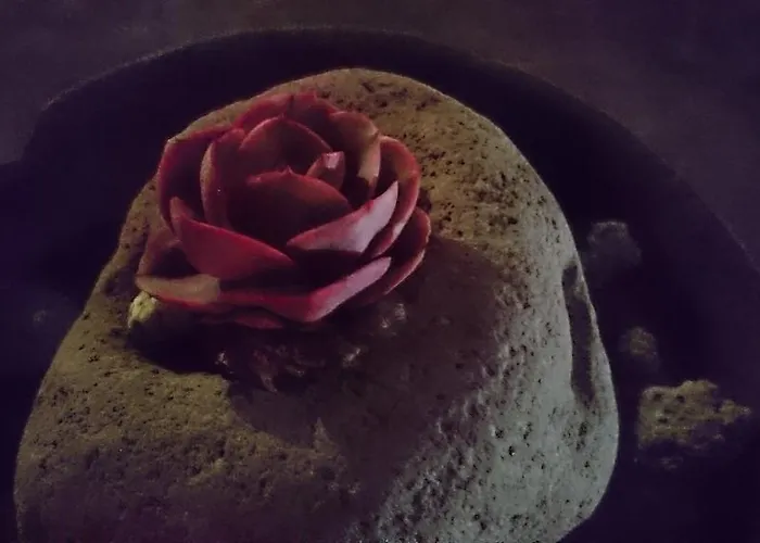 Ferienhaus El Olivar De Roche Viejo