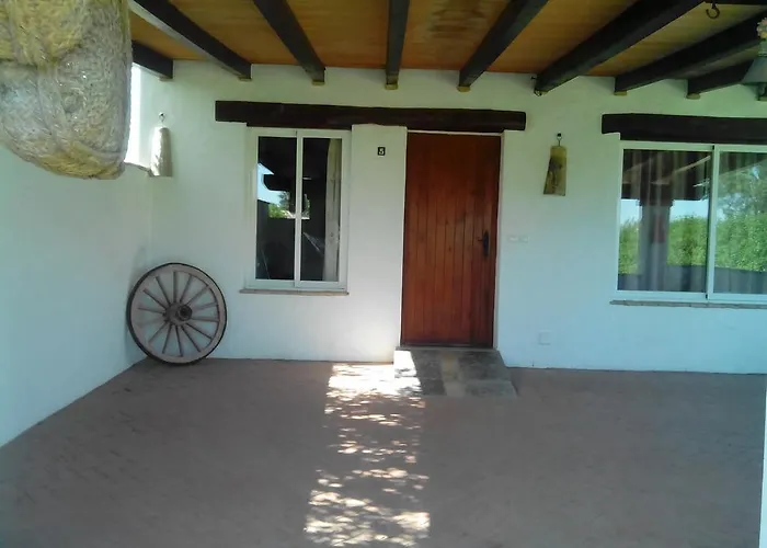 El Olivar De Roche Viejo *