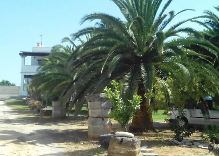 Hébergement de vacances El Olivar De Roche Viejo *