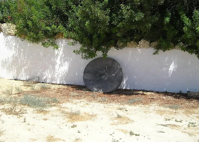 El Olivar De Roche Viejo