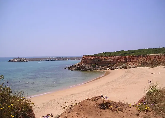 El Olivar De Roche Viejo * Conil De La Frontera