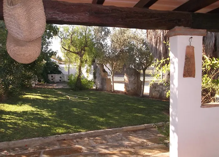 El Olivar De Roche Viejo