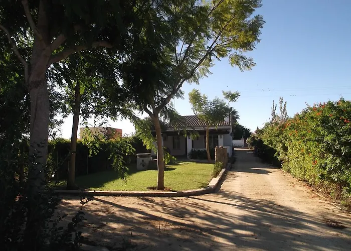 El Olivar De Roche Viejo Conil De La Frontera