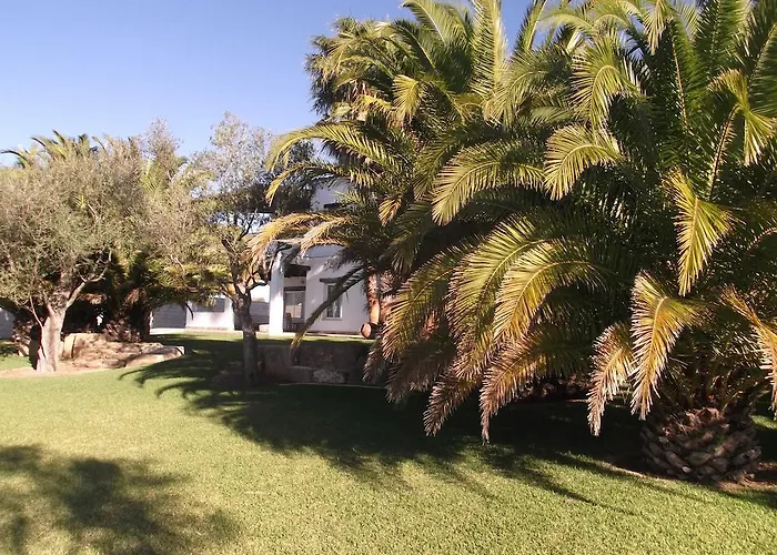 El Olivar De Roche Viejo Conil De La Frontera