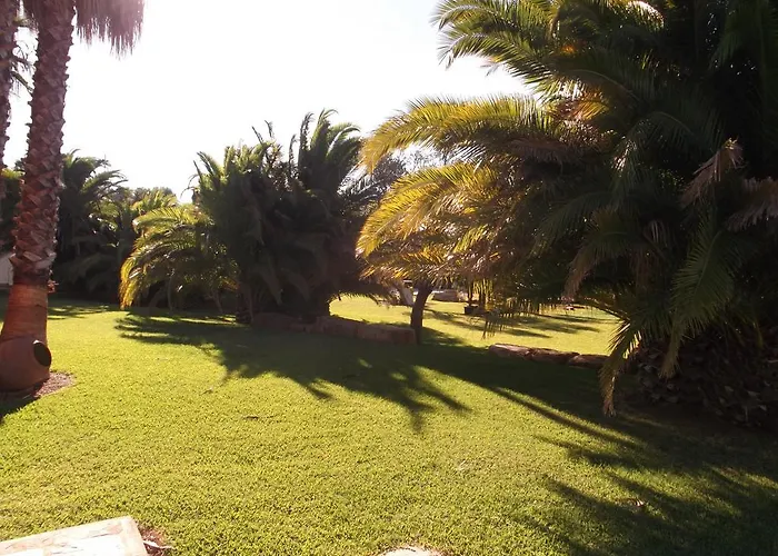 El Olivar De Roche Viejo