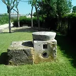 El Olivar De Roche Viejo *