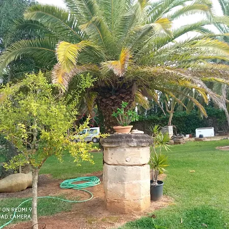 Semesterbostad El Olivar De Roche Viejo Conil De La Frontera