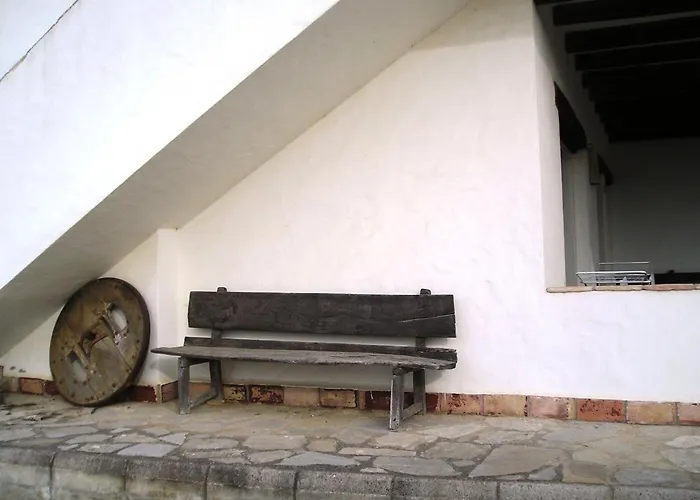 El Olivar De Roche Viejo