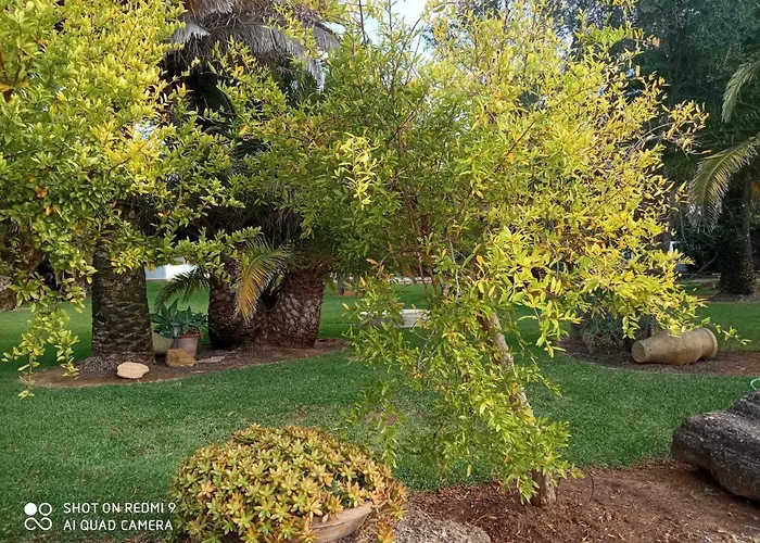 El Olivar De Roche Viejo Conil De La Frontera