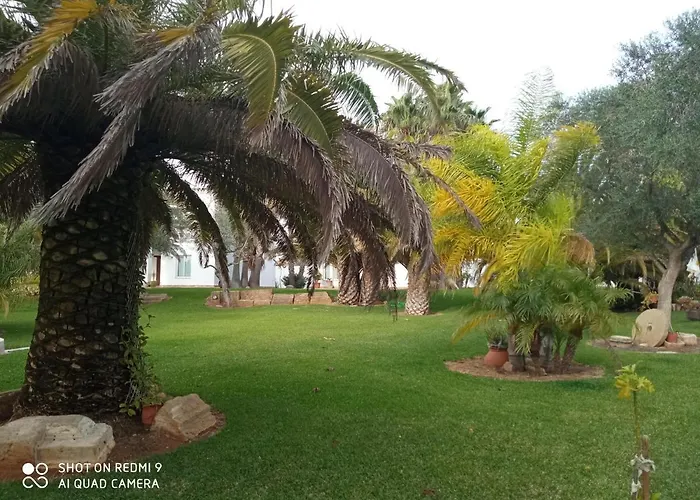 El Olivar De Roche Viejo *