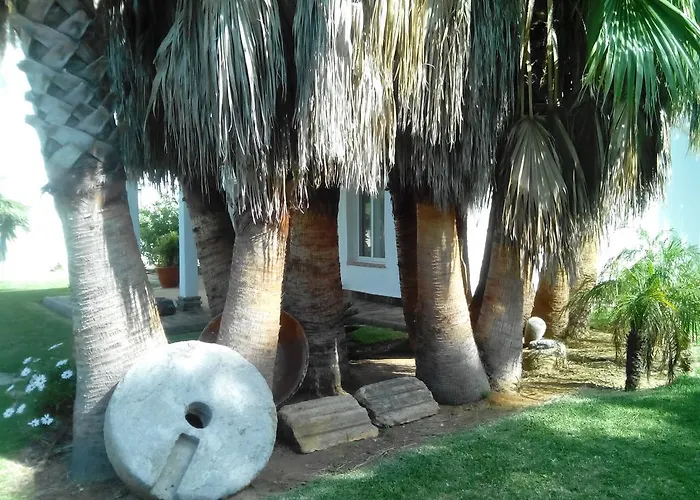 Hébergement de vacances El Olivar De Roche Viejo *