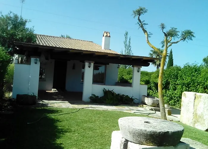 El Olivar De Roche Viejo