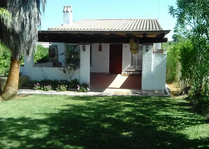 El Olivar De Roche Viejo