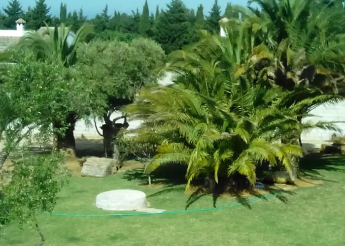 El Olivar De Roche Viejo * Conil De La Frontera