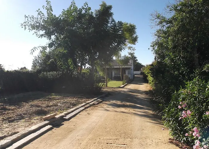 Hébergement de vacances El Olivar De Roche Viejo *