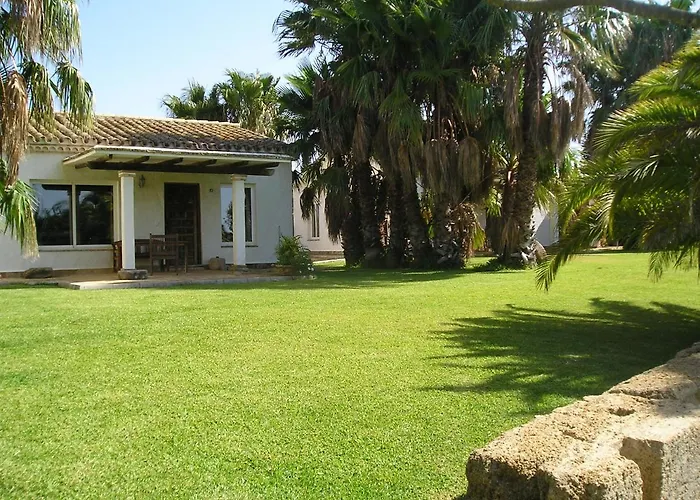 El Olivar De Roche Viejo *